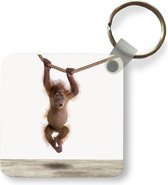 Apen inforatie, alles over chipansee, orang-oetan, gorilla, baviaan