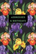 Addresses & Birthdays