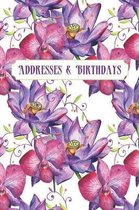 Addresses & Birthdays