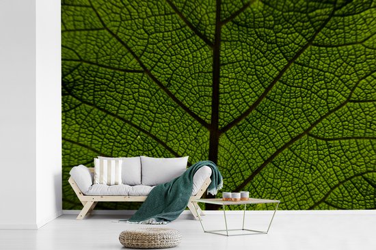 Papier peint photo peint photo vinyle - Veines des feuilles largeur 330 cm x hauteur 220 cm - Tirage photo sur papier peint (disponible en 7 tailles)