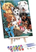 Rubye® Schilderen Op Nummer Volwassenen – Schattige Puppy's – Met Frame en Schildersezel – 40x50cm