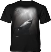 T-shirt Sunburst Shark S