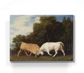 Vechtende stieren - George Stubbs - 26 x 19,5 cm - Niet van echt te onderscheiden houten schilderijtje - Mooier dan een schilderij op canvas - Laqueprint.