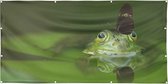 Tuinposter - Kikker met vlinder op de neus  - zon- en waterbestendig - 100x50 cm