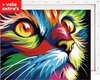 foto van The Painting Club®️ Schilderen op nummer volwassenen met houten frame – Kleurrijke Poes - 40*50cm – ZEER UITGEBREIDE SET - Paint by Number Volwassenen - Verf op Nummer Volwassenen