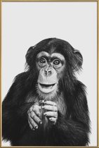 JUNIQE - Poster met kunststof lijst Chimpanzee II -40x60 /Grijs &