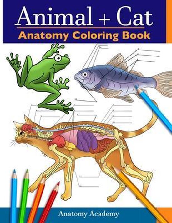 Animal & Cat Anatomy Coloring Book - cover