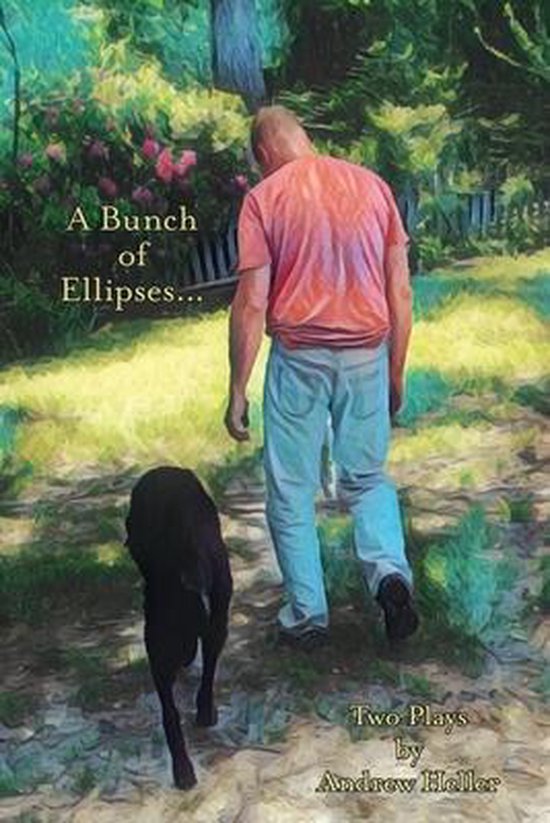 A Bunch of Ellipses ... - cover