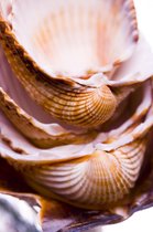 Tuinposter - Zee / Water - Strand in bruin / beige / wit / zwart - 120 x 180 cm.