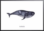 Poster Met Zwarte Lijst - Walvis Poster