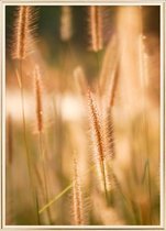 Poster Met Metaal Gouden Lijst - Wilde Bloemen Poster