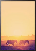 Poster Met Zwarte Lijst - Zebra Zonsondergang Poster