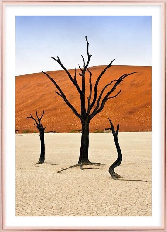 Affiche avec cadre en métal rose - Arbres Deadvlei Poster