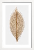 JUNIQE - Poster in houten lijst Skeleton of a Leaf II -30x45 /Bruin &
