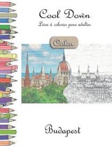 Cool Down [Color] - Livre á colorier pour adultes