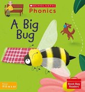 Phonics Book Bag Readers- A Big Bug (Set 3)