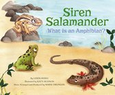 Animal World: Animal Kingdom Boogie - Siren Salamander