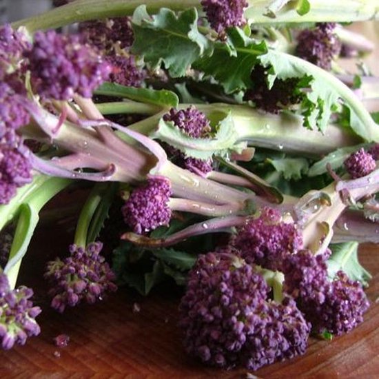 Broccoli zaden - Purple Sprouting Early
