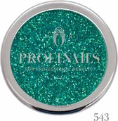 Profinails – Cosmetic Glitter – glitterpoeder – No. 543