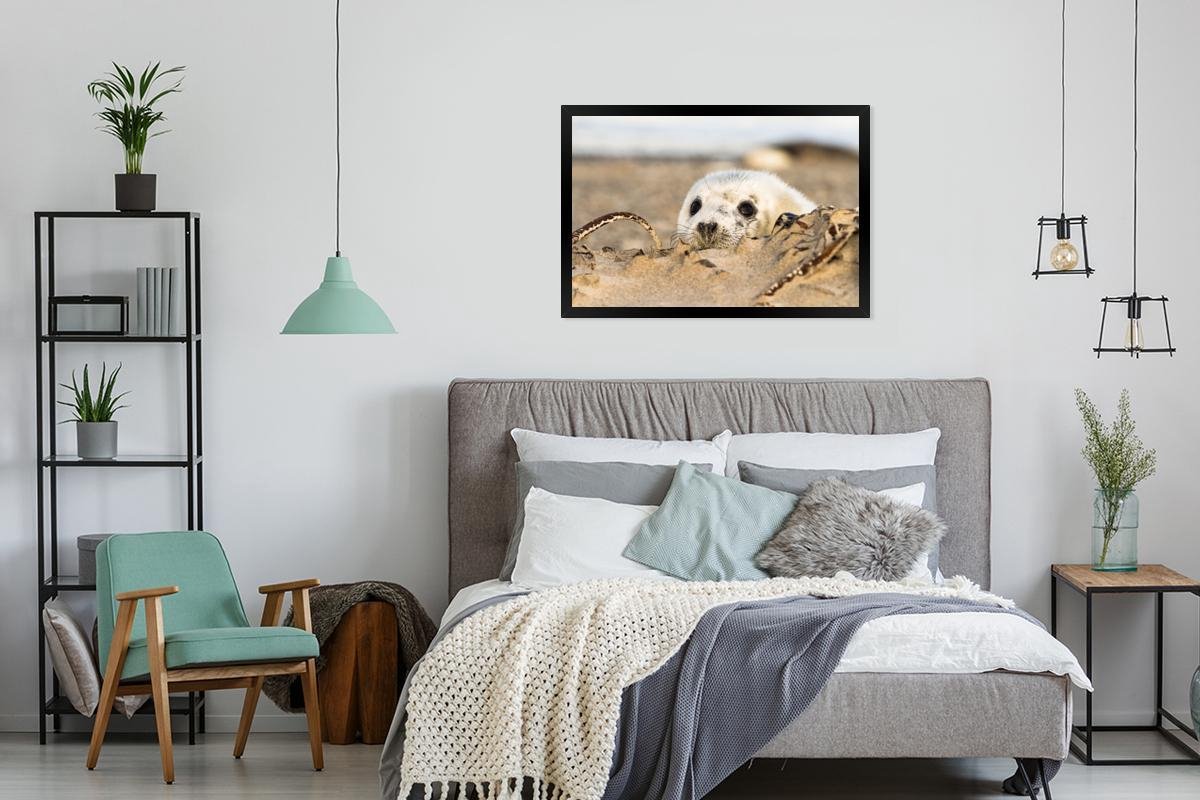 Cadre photo avec affiche - Sceau caché derrière la colline de sable - 90x60  cm - Cadre