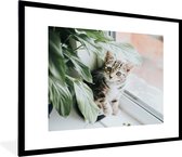 Fotolijst incl. Poster - Kat - Kitten - Planten - 80x60 cm - Posterlijst
