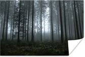 Donker en mistig bos poster 90x60 cm - Foto print op Poster (wanddecoratie woonkamer / slaapkamer) / Bomen Poster