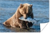 Bruine beer met een vis poster papier 60x40 cm - Foto print op Poster (wanddecoratie woonkamer / slaapkamer) / Wilde dieren Poster