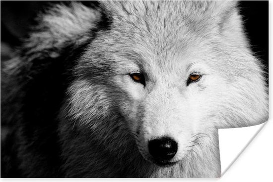 Poster Dichtbij weergeven wolf in zwart-wit - 30x20 cm