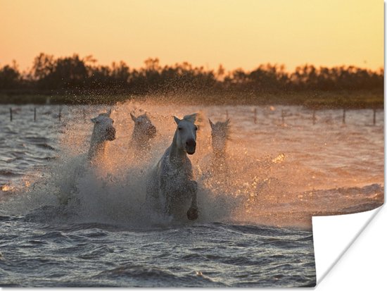Paarden galopant dans les eaux profondes en Camargue poster papier 40x30 cm - petit - Tirage photo sur Poster (décoration murale salon / chambre)