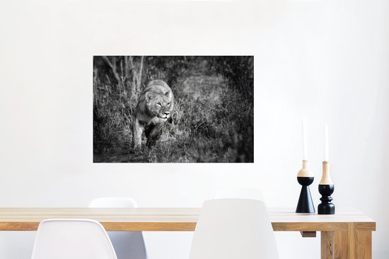 Poster Lionne en cours d'exécution papier 60x40 cm - Tirage photo sur Poster (décoration murale salon / chambre) / Poster Animaux sauvages