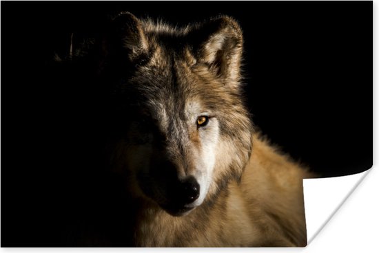 Poster Loup arctique papier 120x80 cm - Tirage photo sur Poster (décoration murale salon / chambre) / Poster Animaux sauvages
