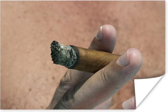 Poster Mannelijke hand die een Cubaanse sigaar vasthoudt - 30x20 cm