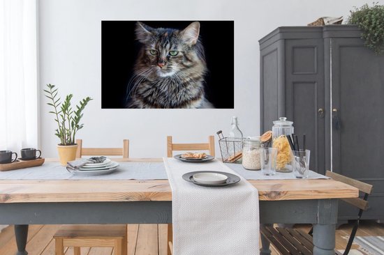 Poster Chat Maine Coon fond noir 120x80 cm - Tirage photo sur Poster (décoration murale salon / chambre) / Poster Animaux domestiques