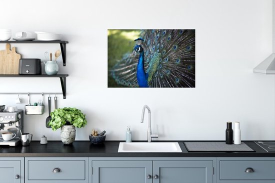 Poster Paon vert avec belle fourrure de plumes 90x60 cm - Tirage photo sur Poster (décoration murale salon / chambre)