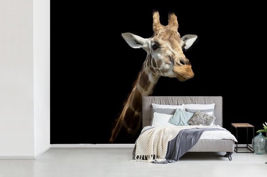 Behang - Fotobehang Giraffe kop voor zwarte achtergrond - Breedte 330 cm x  hoogte 220 cm | bol.com