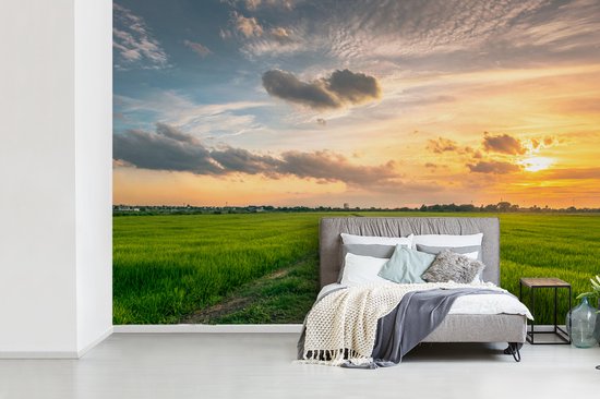 Papier peint Papier peint photo en vinyle - Prairie en Thaïlande largeur 390 cm x hauteur 260 cm - Tirage photo sur papier peint (disponible en 7 tailles)