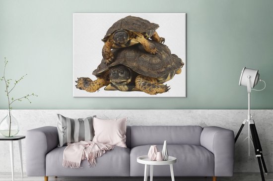 Peintures sur toile - Mère tortue avec son enfant - 120x90 cm - Décoration murale