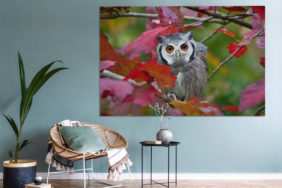 Canvas schilderij 150x100 cm - Wanddecoratie Uil - Vogel - Bladeren - Herfst - Muurdecoratie woonkamer - Slaapkamer decoratie - Kamer accessoires - Schilderijen