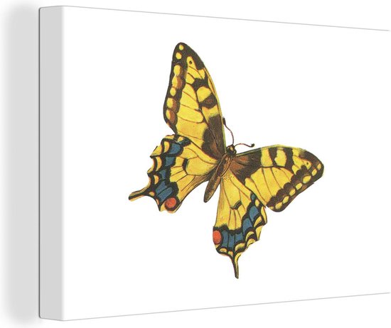 Canvas Schilderij Dier - Vlinders - Geel - 60x40 cm - Wanddecoratie