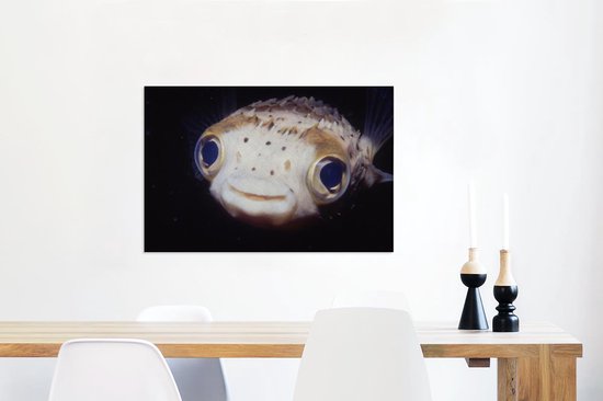 Gros plan poisson-globe 60x40 cm - Tirage photo sur toile (Décoration murale salon / chambre) / Peintures sur toile animaux sauvages