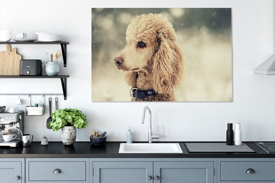 Caniche Witte dans la neige 140x90 cm - Tirage photo sur toile (Décoration murale salon / chambre) / Peintures sur toile pour Animaux domestiques