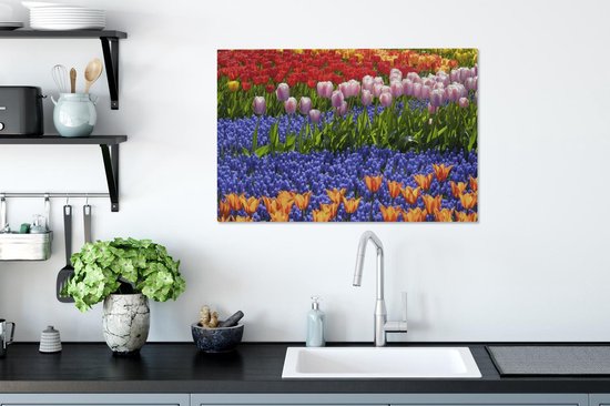Tulipes et jacinthes colorées dans le Keukenhof en Holland méridionale 60x40 cm - Tirage photo sur toile (Décoration murale salon / chambre) / Peintures Fleurs sur toile