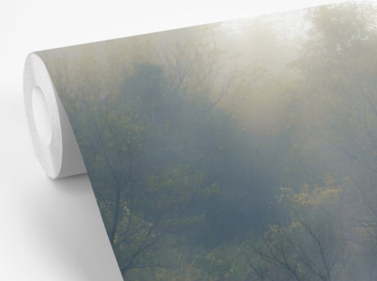 Behang - Fotobehang Redwood forest ingesloten door een dichte mist - Breedte 600 cm x hoogte 400 cm