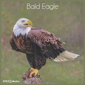 Bald Eagle 2022 Calendar