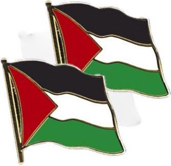 Foto: Set van 2x stuks pin vlag palestina 20 mm landen thema artikelen