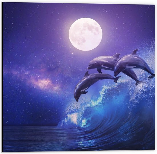Dibond - Springende Dolfijnen in Golf - 50x50cm Foto op Aluminium (Met Ophangsysteem)
