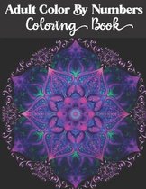 Adult Color by numbers coloring book