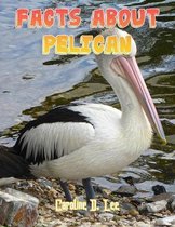 Facts About Pelican