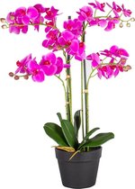 Kunstplant Phalaenopsis 5-tak roze (orchidee) 68 cm