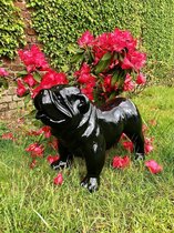 Engelse Buldog zwart 40 cm - polyresin - polystone - hoogkwalitatieve kunststof - decoratiefiguur - interieur - accessoire - voor binnen - voor buiten - cadeau - geschenk - tuinfig